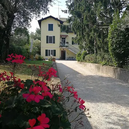 Margherita