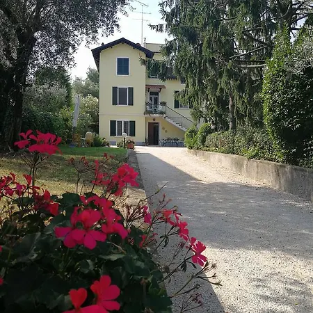 Margherita